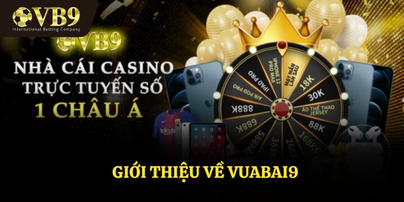 Giới thiệu về VUABAI9