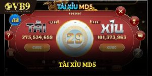 Tài Xỉu MD5 - Bí Quyết Thắng Lớn Khi Chơi Tài Xỉu MD5